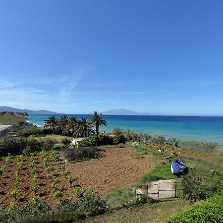 Galini Beach Villa Amoudi Eksteriør billede